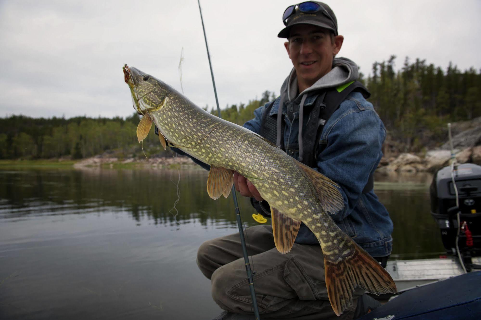 Yellow Dog Lodge, Inc. Yellowknife Exteriör bild