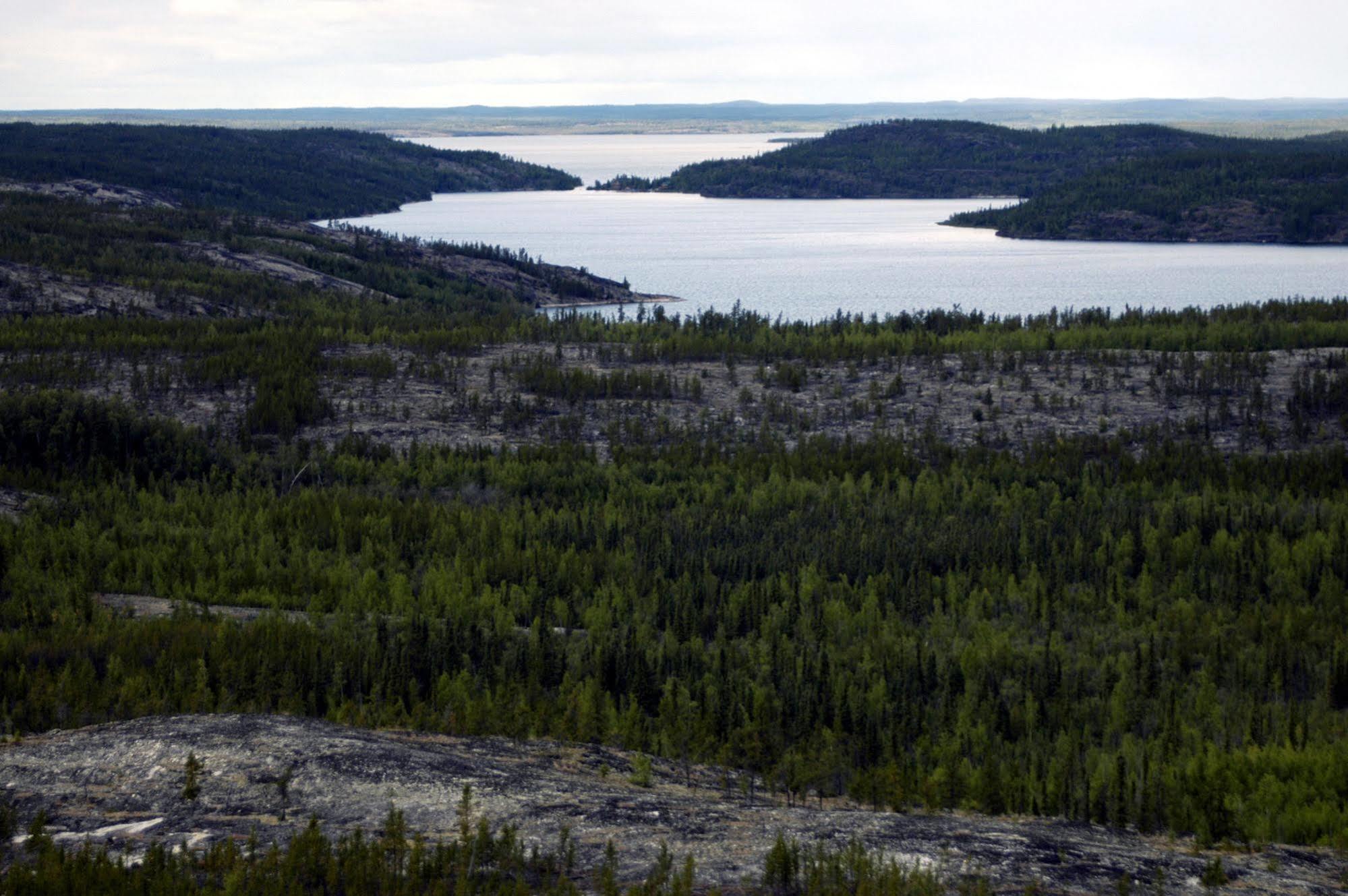 Yellow Dog Lodge, Inc. Yellowknife Exteriör bild