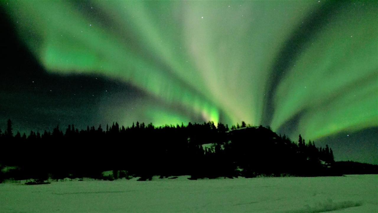 Yellow Dog Lodge, Inc. Yellowknife Exteriör bild