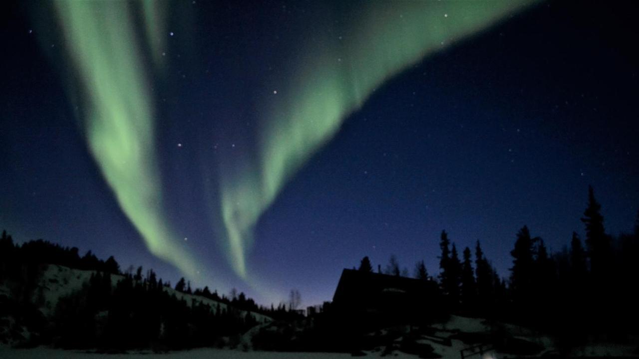 Yellow Dog Lodge, Inc. Yellowknife Exteriör bild